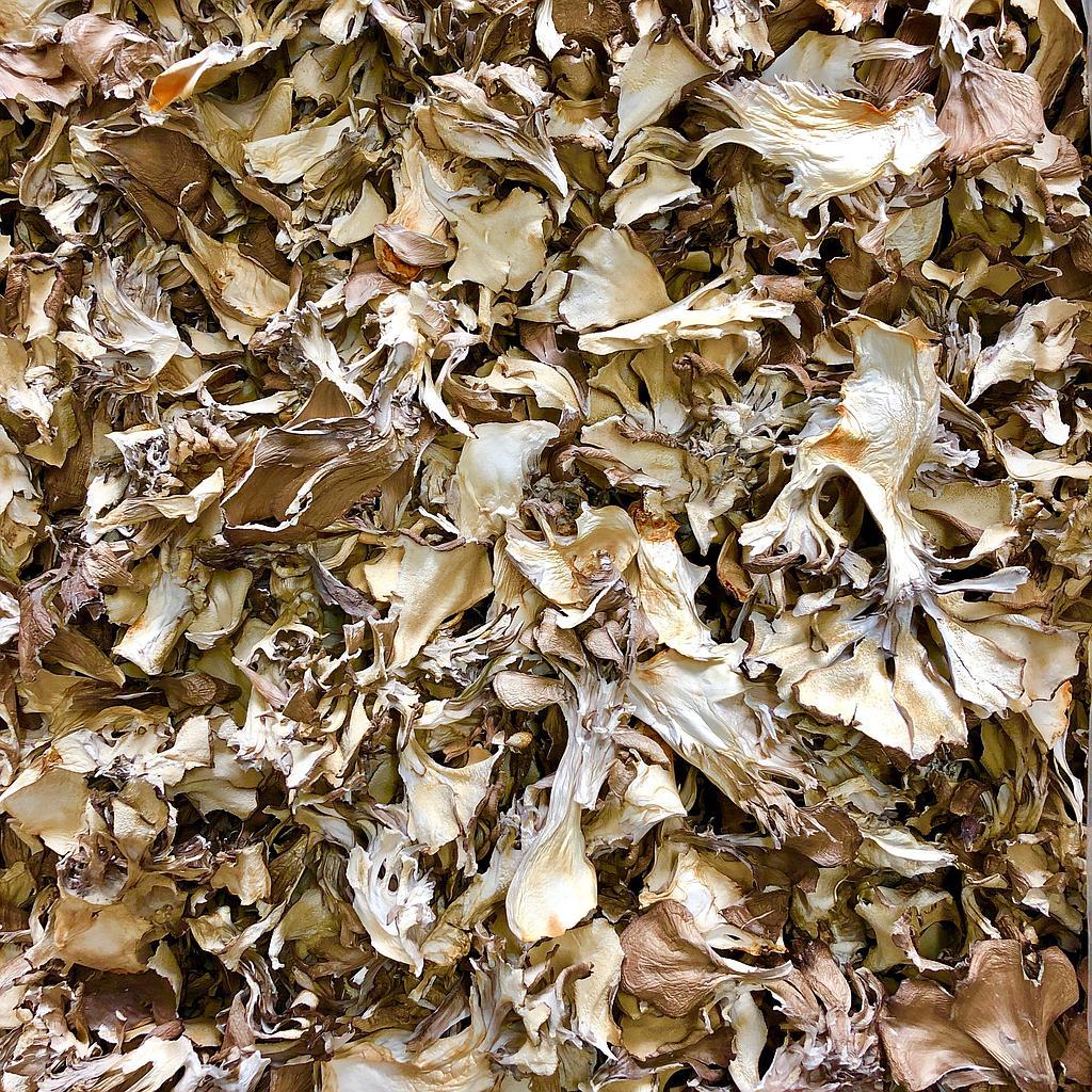 ORGANIC MAITAKE MUSHROOM, dried, whole Om Foods Organic Matters